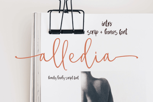 Alledia: A Designer’s Take on Real-World Use