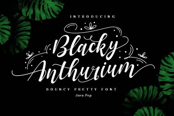 Blacky Anthurium: A Fresh Script Font for Modern Web Design Projects