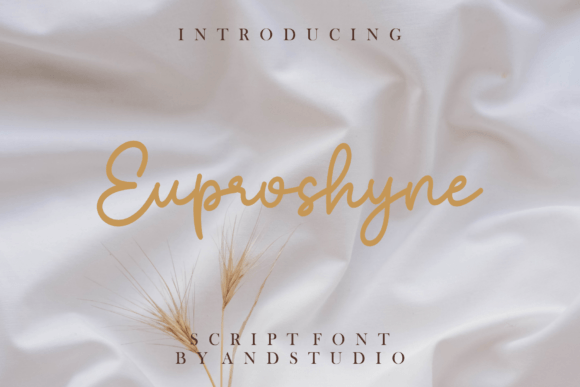 Euproshyne: A Designer’s Take on Real-World Use for Branding & Visual Projects